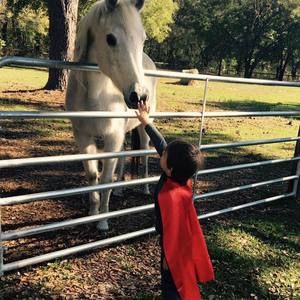 Meet your Posher, Nancy